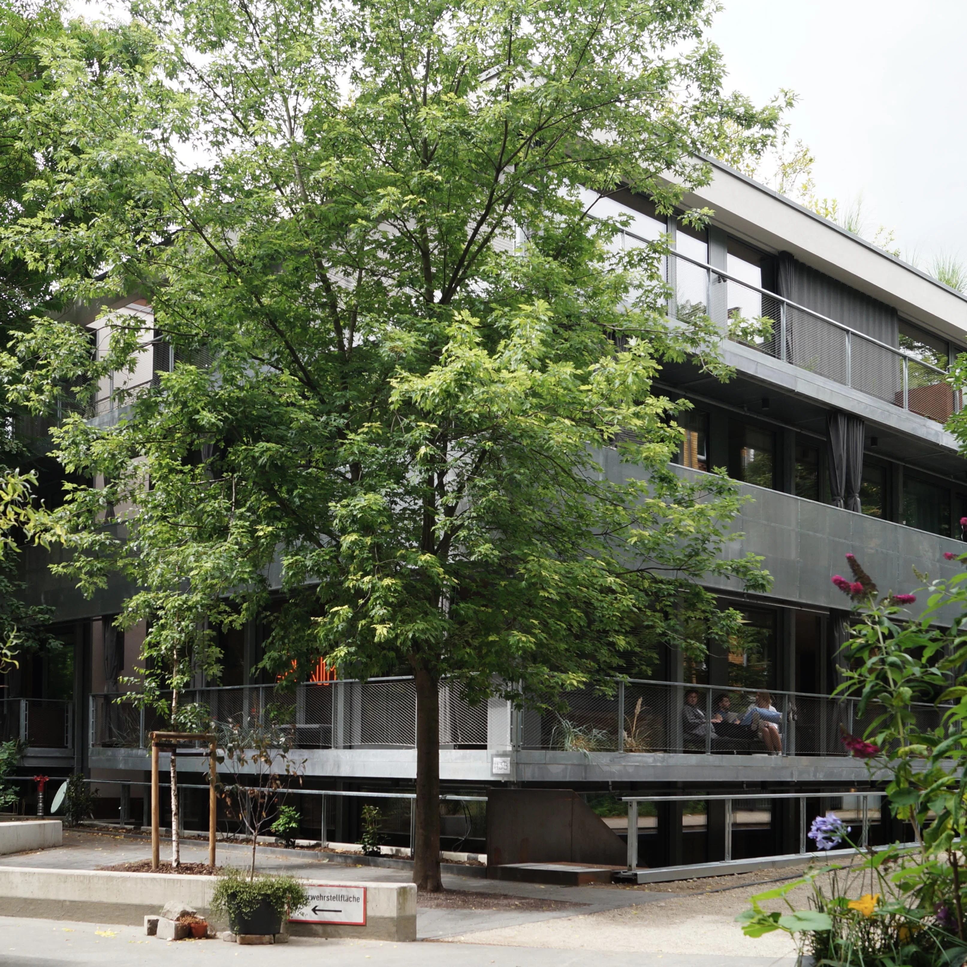 Courtyard with trees