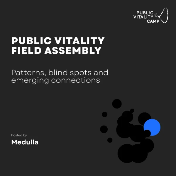 Public Vitality Field Assembly — patterns, blind spots and emerging connections